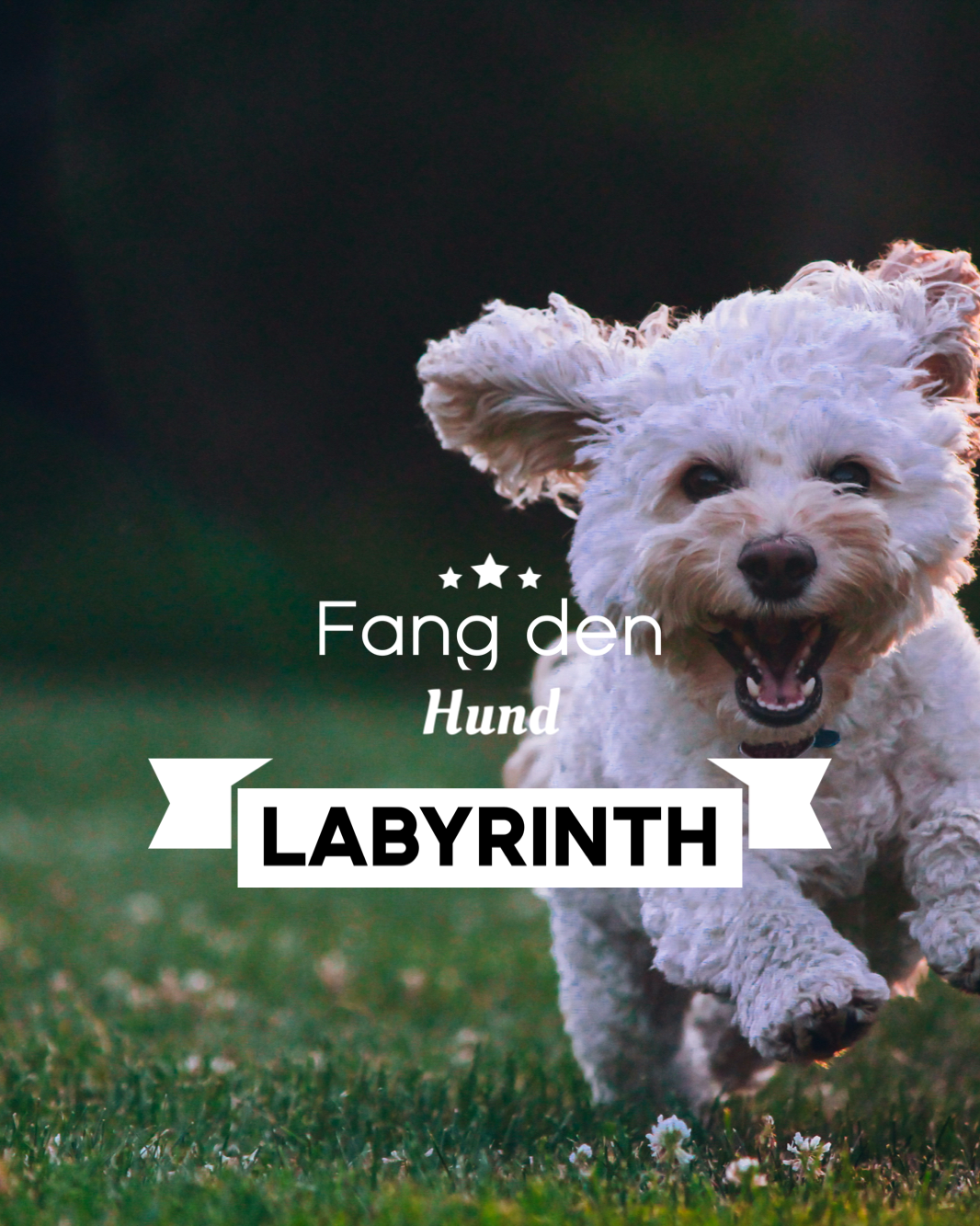 Labyrinth Geschichte - Fang den Hund