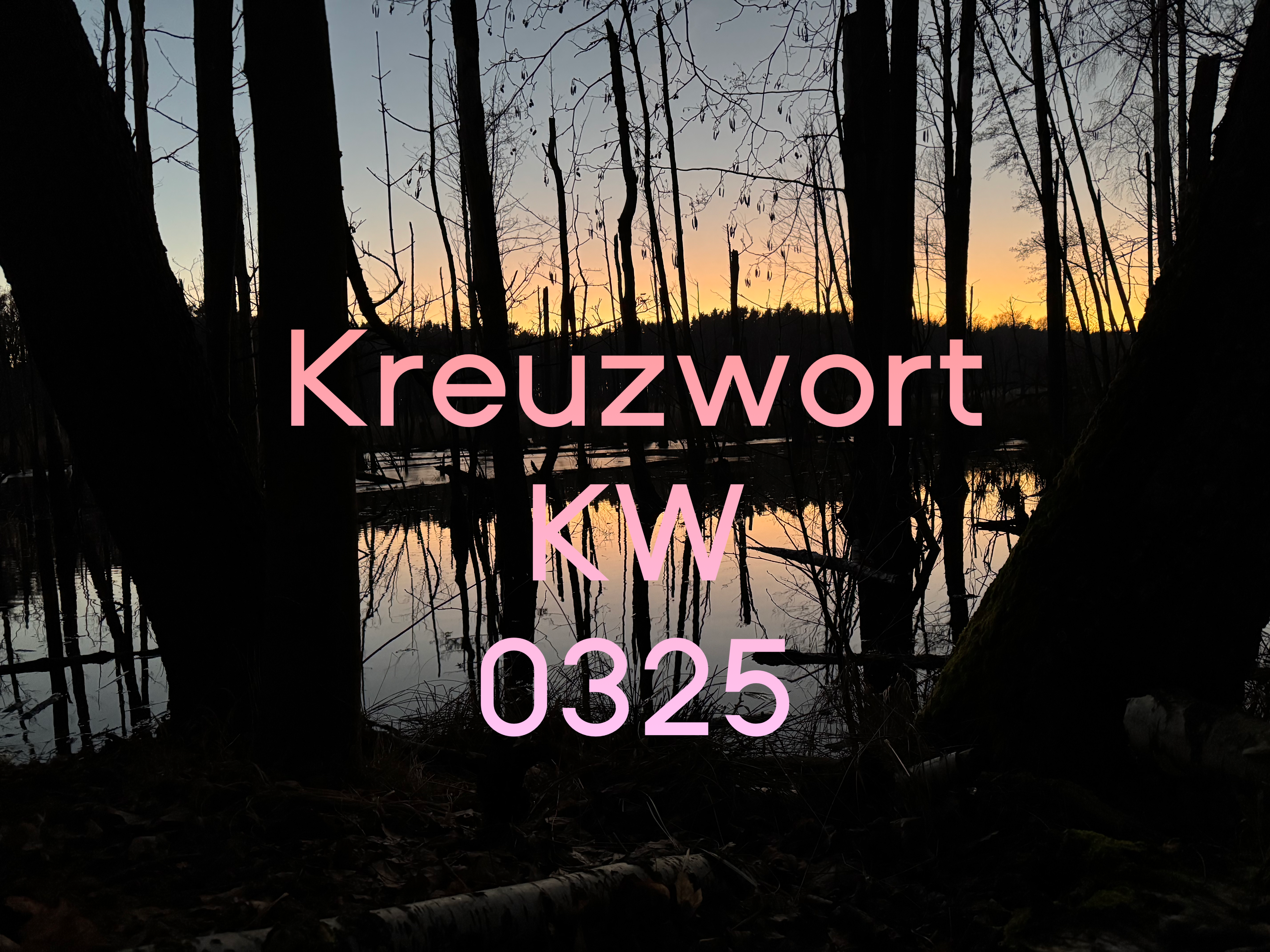 Kreuzworträtsel für die Kalenderwoche 03